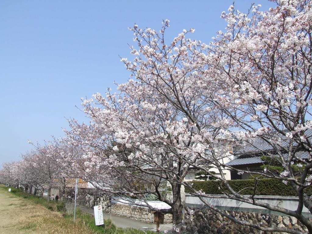 Jyoseikan Kōchi Esterno foto
